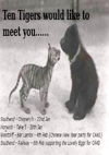 Ten Tigers 'Would Like To Meet You' - Winter Tour January - February 2011 - Poster